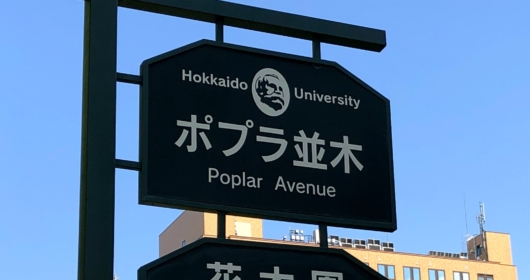 ポプラ並木看板